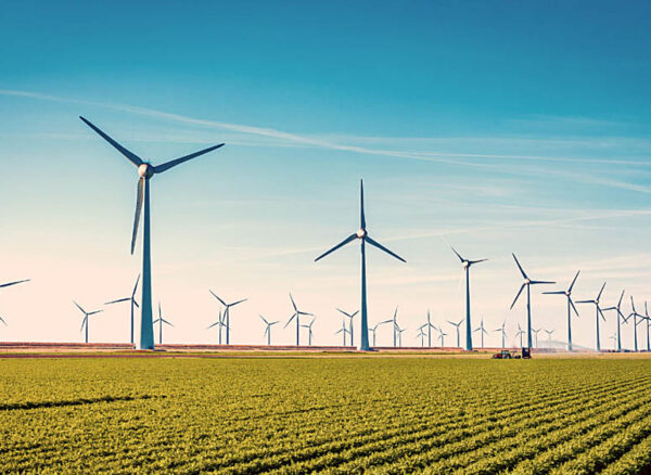 Sustainability-and-environmentalism