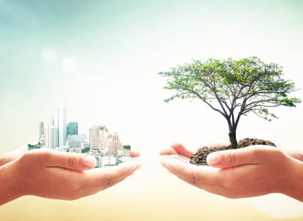 Social Impact & Philanthropy