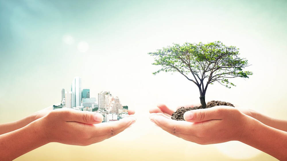 Social Impact & Philanthropy